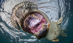 Announcing the Winners of the First Think Pink Photo Competition