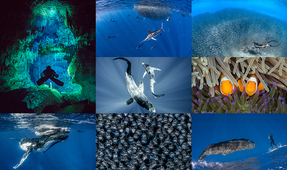 Announcing the Winners of the Share Our Air Photo Competition