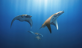 Photographer of the Week – Merche Llobera