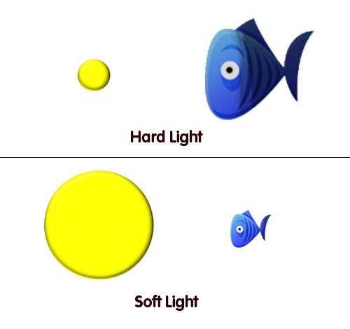 Hard light and soft difused light Hard light and soft difused light