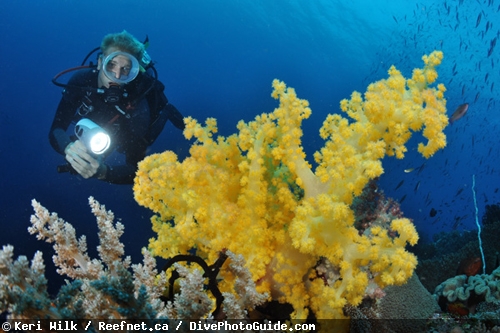 Keri Wilk self-modeling underwater photograph Keri Wilk self-modeling underwater photograph