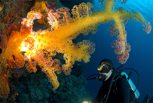 Underwater backlighting Underwater backlighting