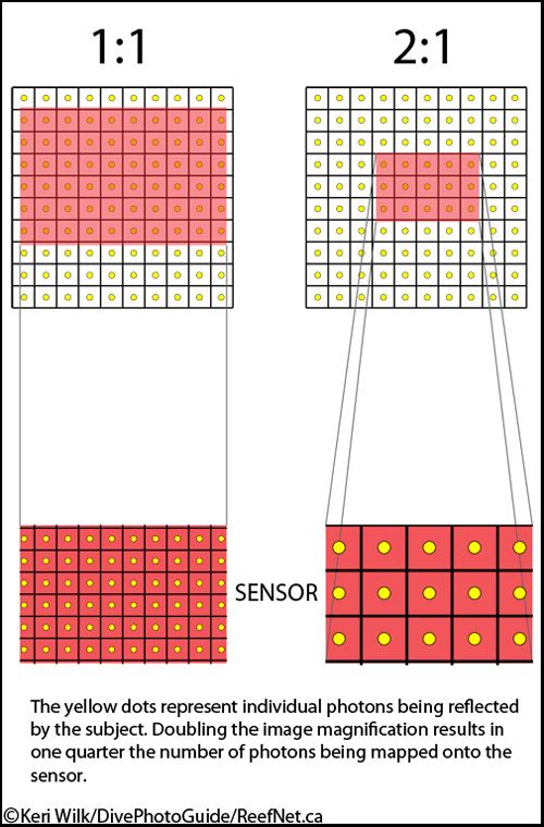 Bellows effect Bellows effect