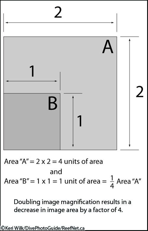Bellows effect Bellows effect