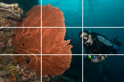 rule of thirds underwater photograph by Matt Weiss rule of thirds underwater photograph by Matt Weiss
