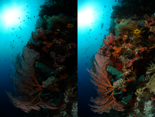 Benefits of underwater strobes Benefits of underwater strobes