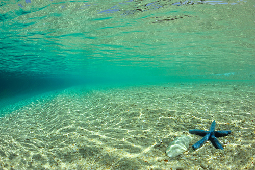 Underwater ambient light Underwater ambient light