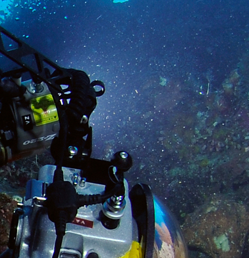 Backscatter Backscatter