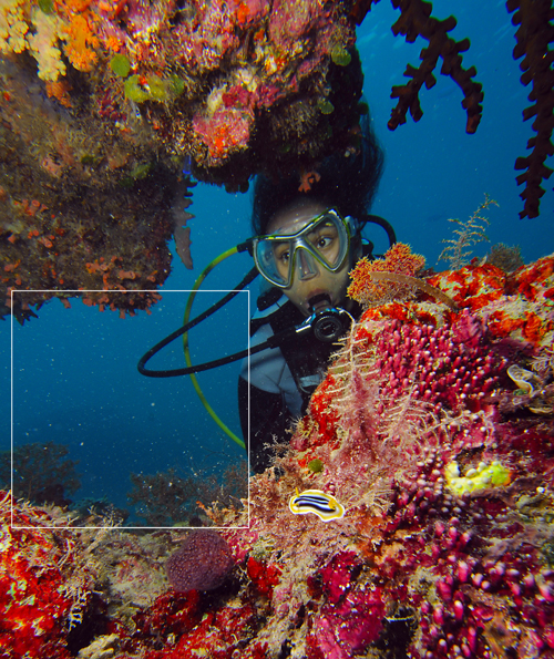 Preventing backscatter underwater Preventing backscatter underwater